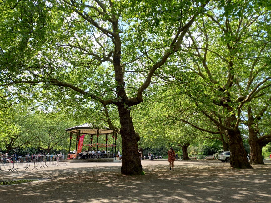 A large park scene featuring a wide open space shaded by several mature trees with thick trunks and sprawling branches covered in bright green leaves, allowing dappled sunlight to filter through. In the background, there is an outdoor bandstand with a metal roof supported by columns, around which a small audience is gathered, some seated and others standing. The ground is a combination of dirt and sparse grass, and a concrete path runs through the park. A person dressed in casual clothing is walking across the park, heading towards the bandstand area. Parked cars are visible in the distance beyond the trees, and the overall environment conveys a peaceful, community-oriented outdoor setting suitable for leisure and spontaneous gatherings. The scene’s natural colors and elements highlight the outdoor space often used for public events or relaxation, aligning with themes of community and outdoor activities related to house removals and logistics that [COMPANY_NAME] might support during a home relocation process.